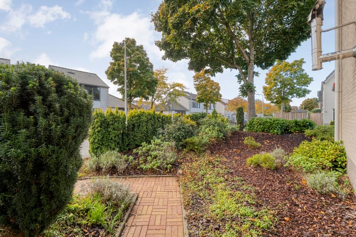 Foto 38 van Zilverdistel 2