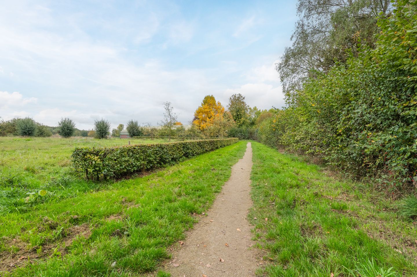 Foto 29 van Koningin Julianastraat 38