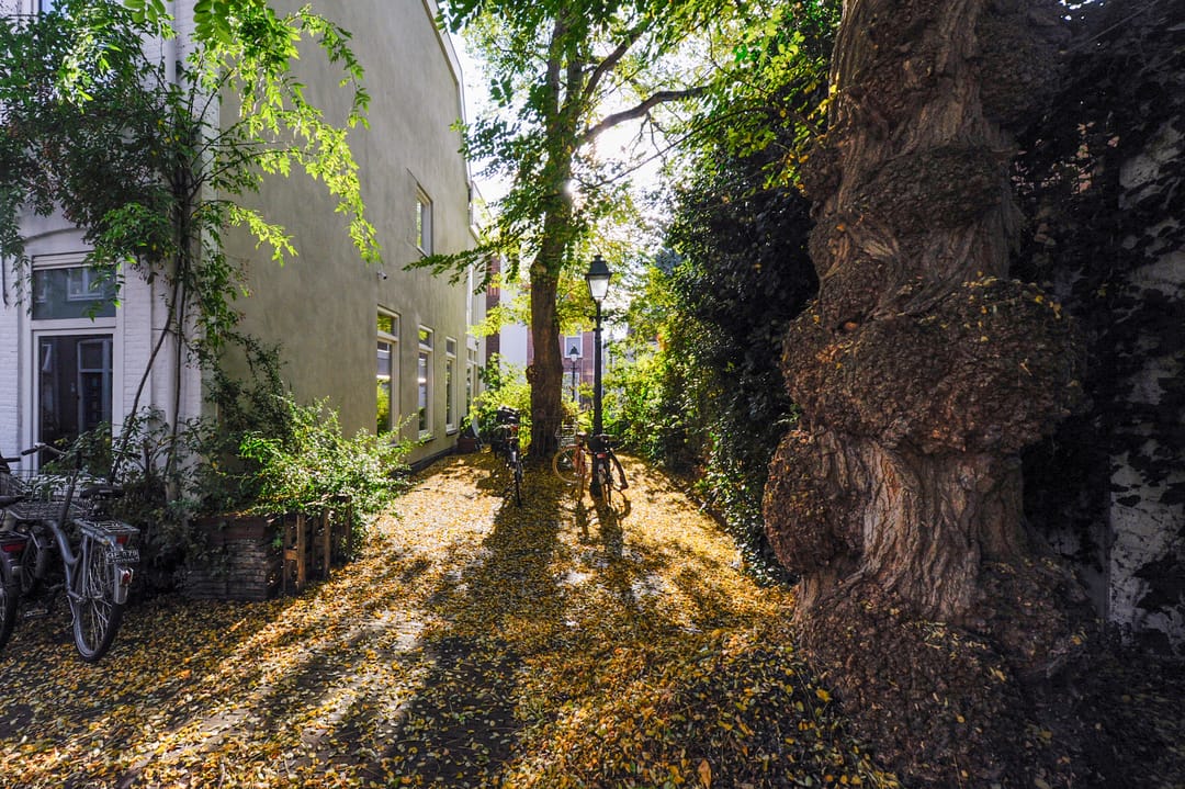 Foto 31 van Van Swindenstraat 39