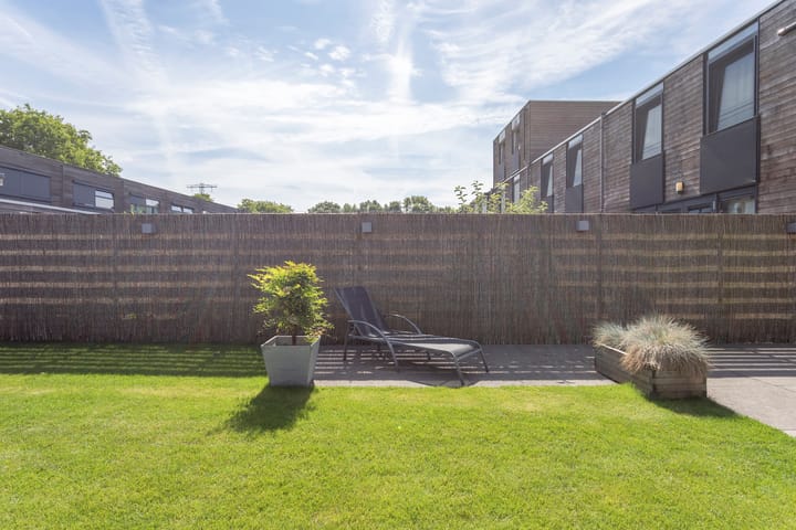 Foto 56 van Obrechtstraat 80