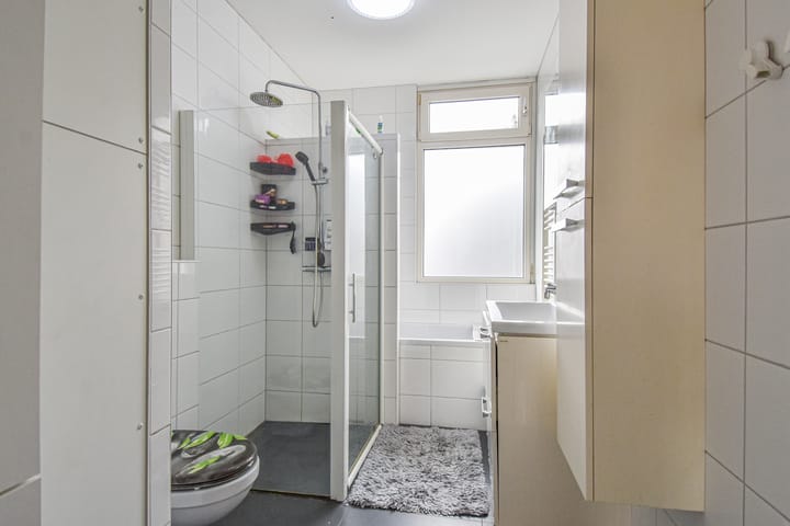 Foto 10 van Van Dijckstraat 114