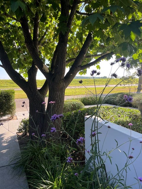 Foto 16 van Beukenweg 5