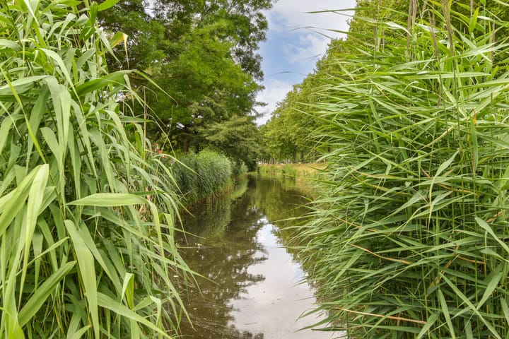 Foto 33 van Athenastraat 9