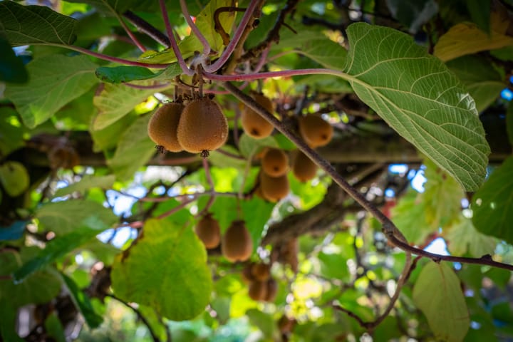 Foto 49 van Landlustweg 40