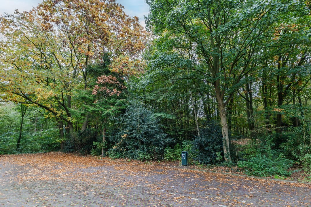 Foto 37 van Wolvenlaan 193