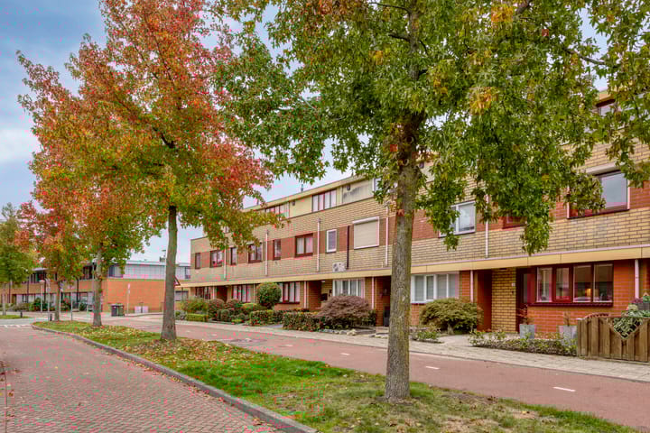 Photo 34 of State 10