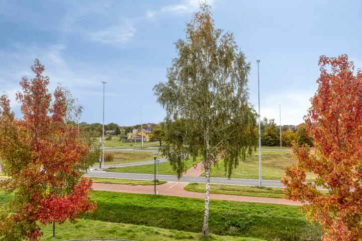 Photo 47 of Regenboogven 31