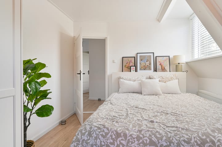 Foto 52 van Tramwijk NZ 52