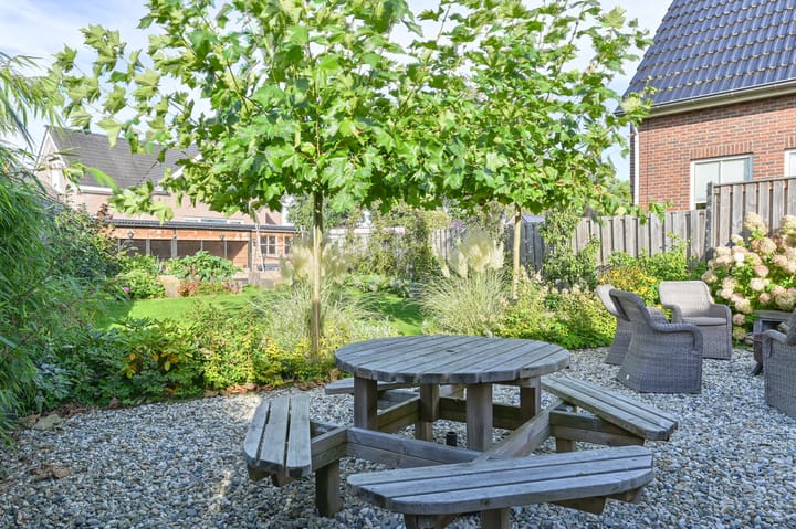 Foto 65 van Tramwijk NZ 52