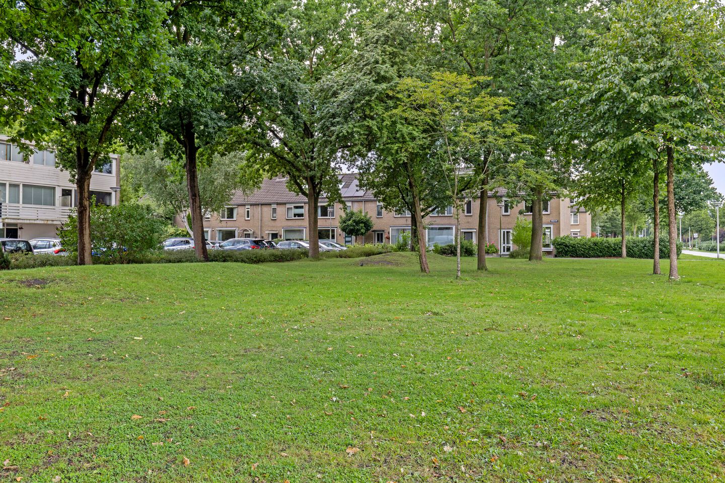 Foto 35 van Obrechthof 12