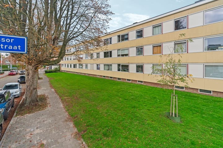 Foto 7 van Professor Hoogveldstraat 32