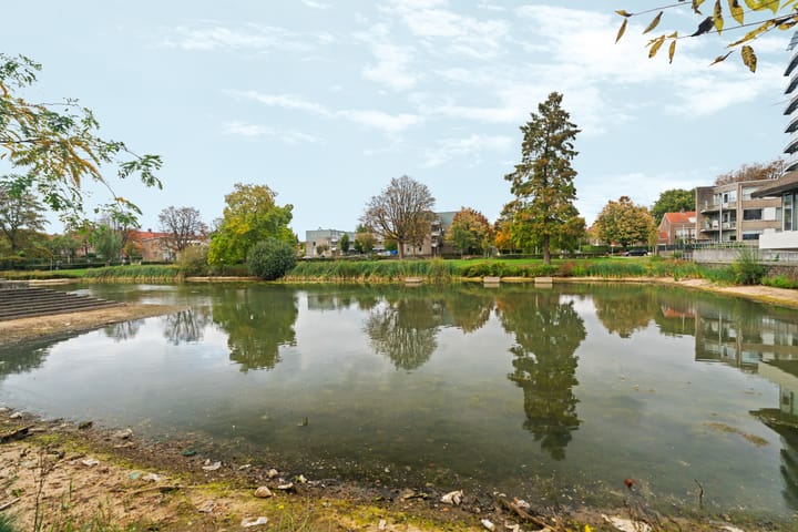 Foto 47 van Professor Hoogveldstraat 32