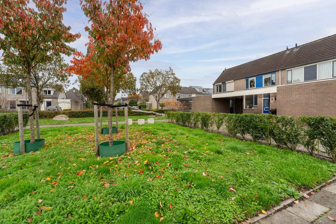 Foto 7 van Dr. Wiersemahof 13