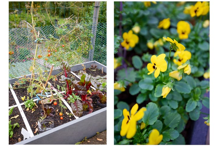 Foto 61 van Aalsmeerderdijk 668