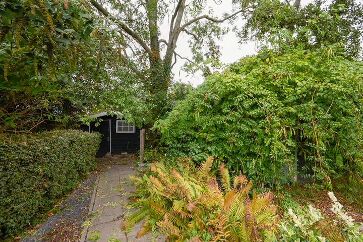 Foto 62 van Aalsmeerderdijk 668