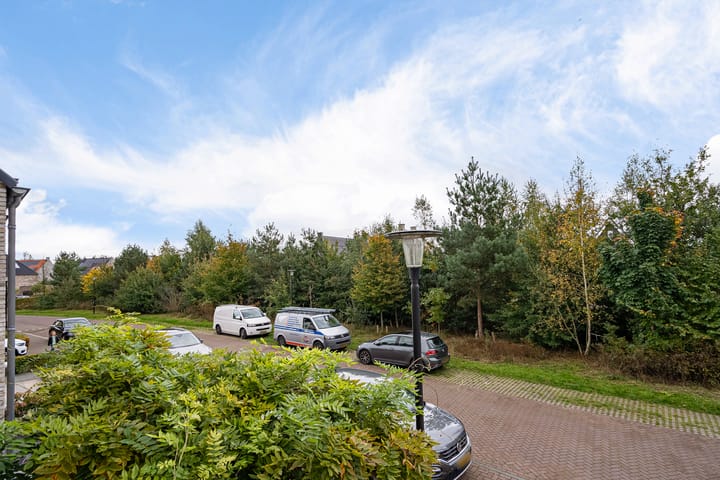 Photo 28 of Paardenbloemdreef 61