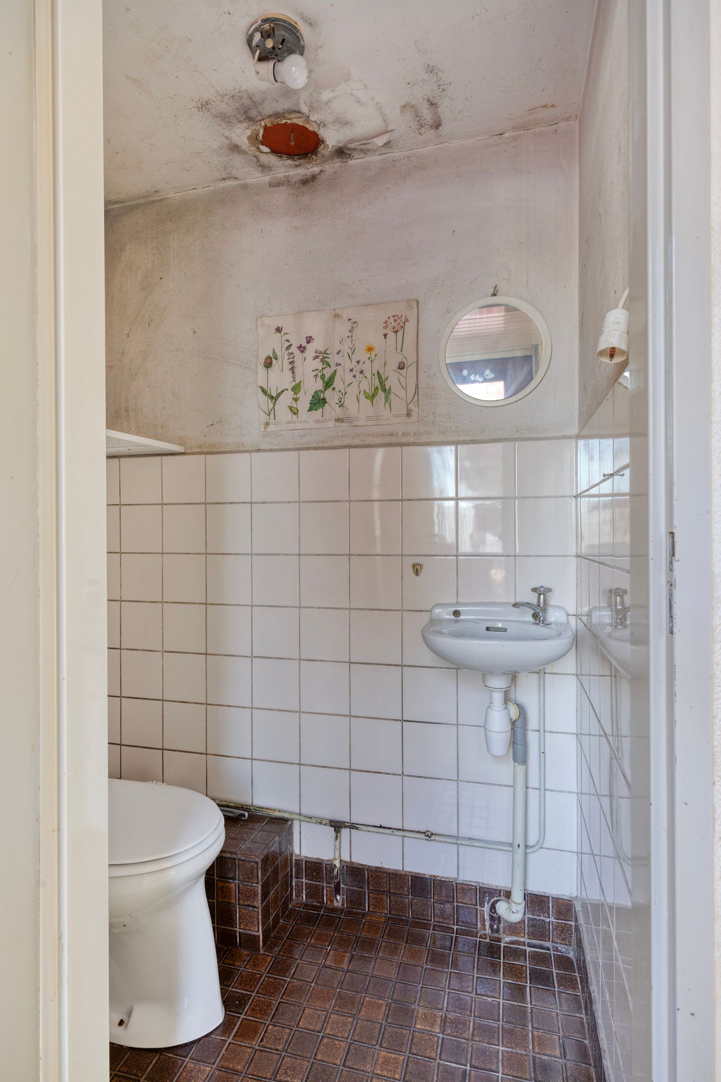 Foto 5 van De Berk 11