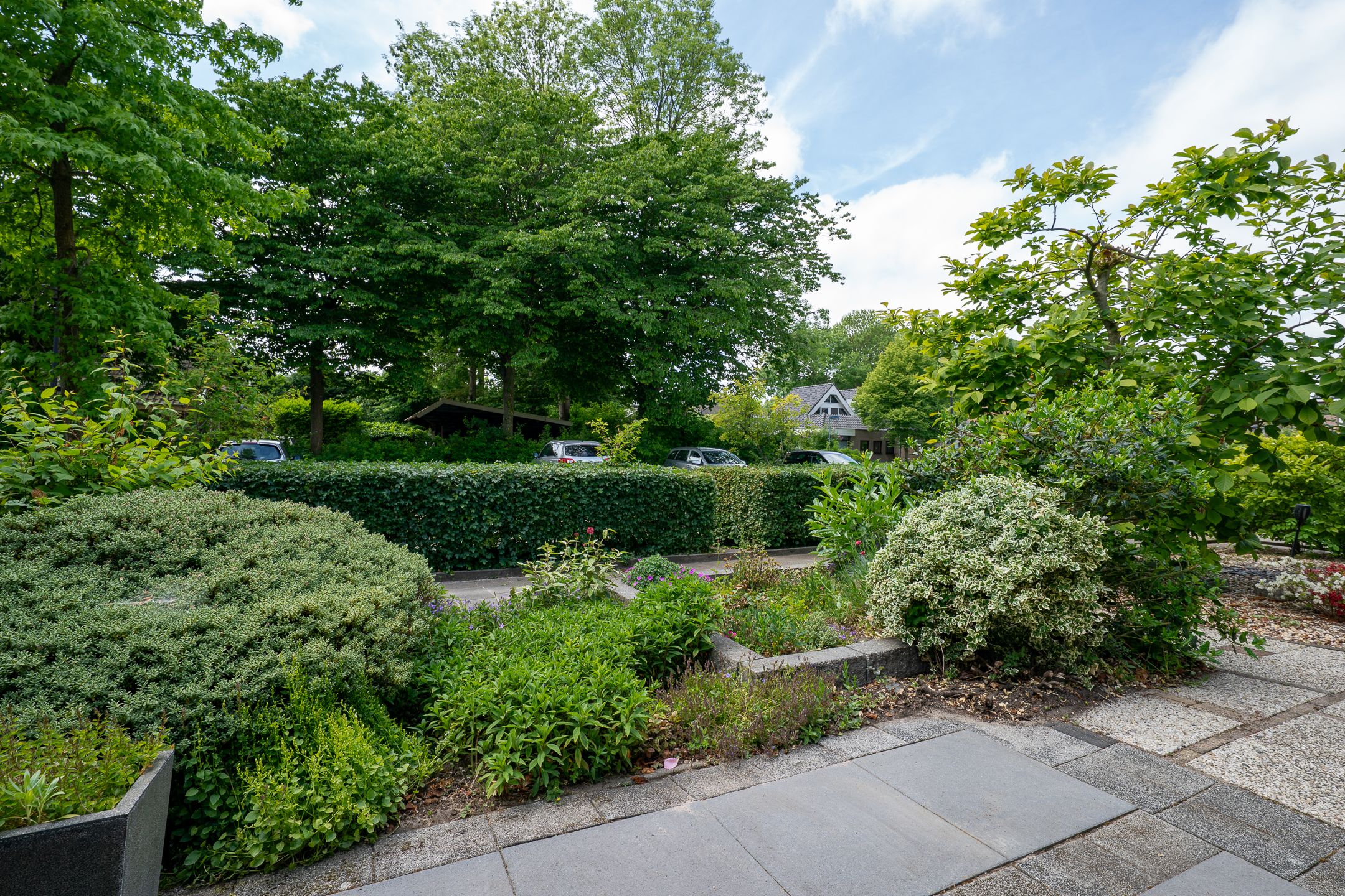 Foto 57 van Toermalijn 6