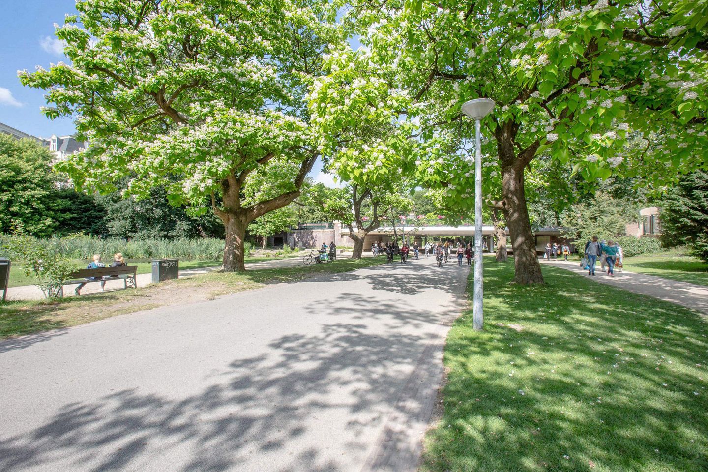 Foto 20 van Woubruggestraat 40-1