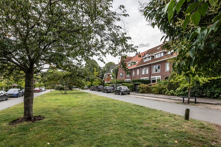 Foto 47 van Plantsoenlaan 9