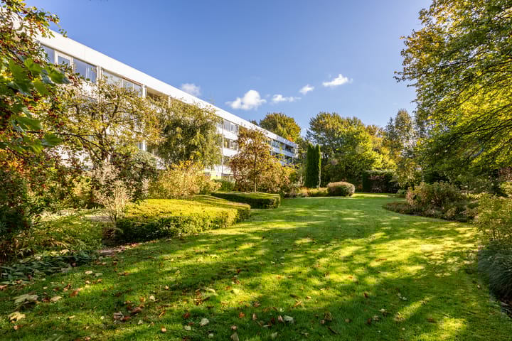 Foto 11 van Bijdorplaan 10