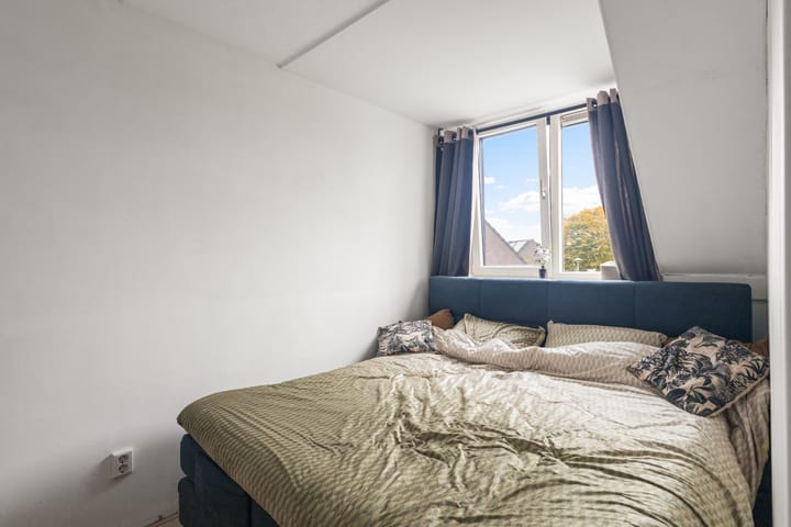 Foto 15 van Wierbalg 1179