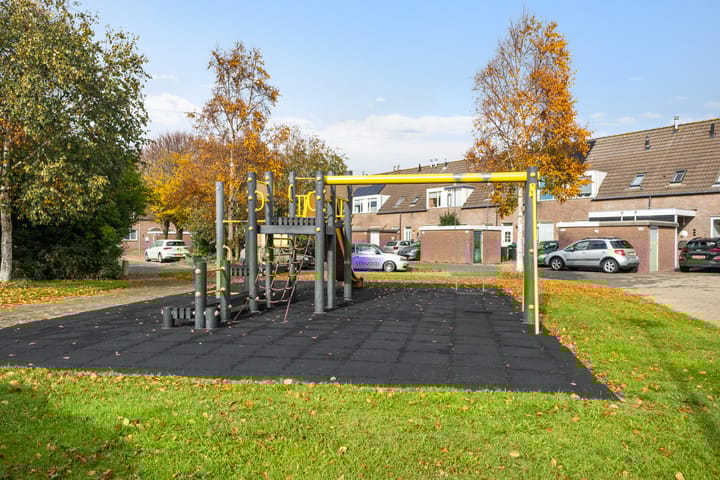 Foto 23 van Wierbalg 1179