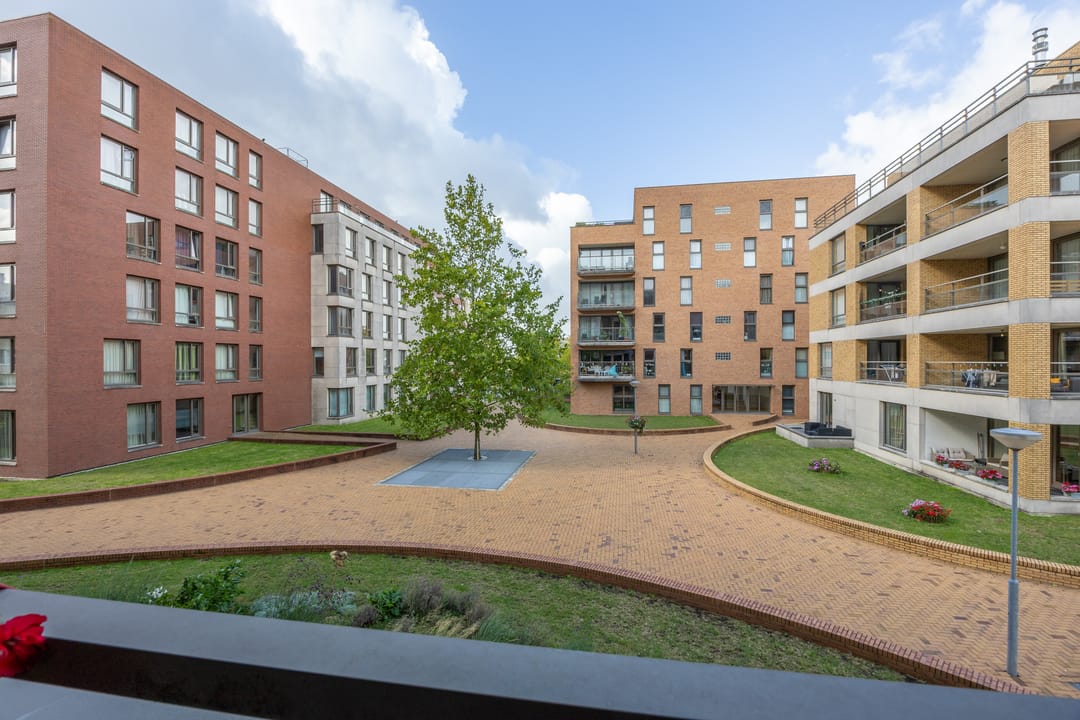 Foto 8 van Teakhout 100