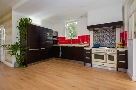 Beets 57 tertiary image