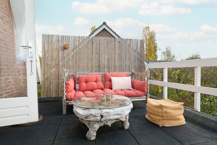 Photo 40 of Beets 57