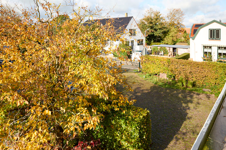 Photo 42 of Beets 57