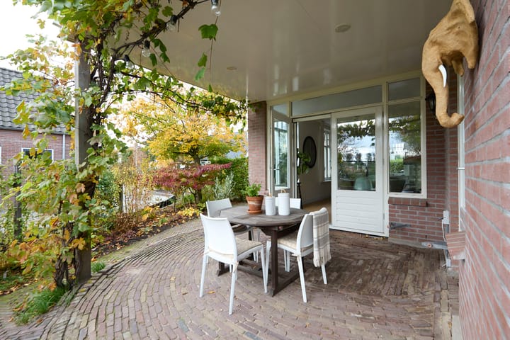 Photo 62 of Beets 57