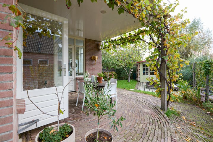 Photo 63 of Beets 57