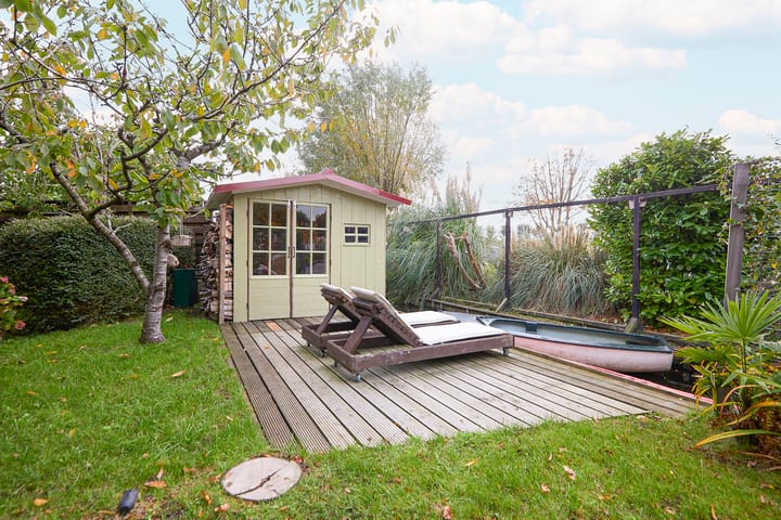 Photo 65 of Beets 57