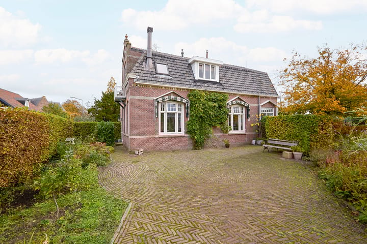 Photo 69 of Beets 57