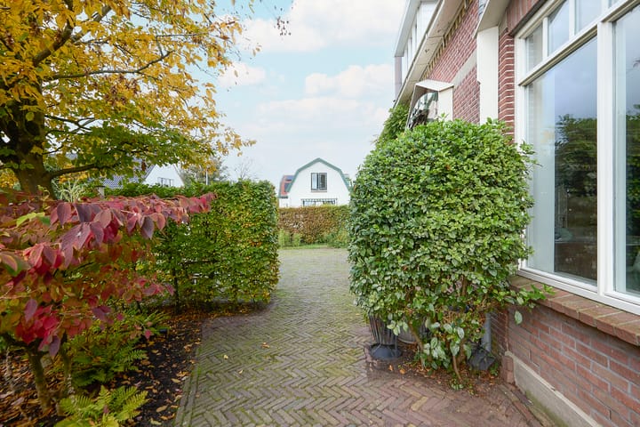 Photo 71 of Beets 57