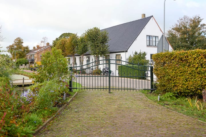 Photo 72 of Beets 57