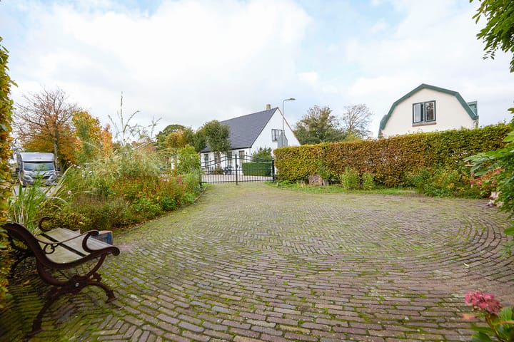 Photo 73 of Beets 57