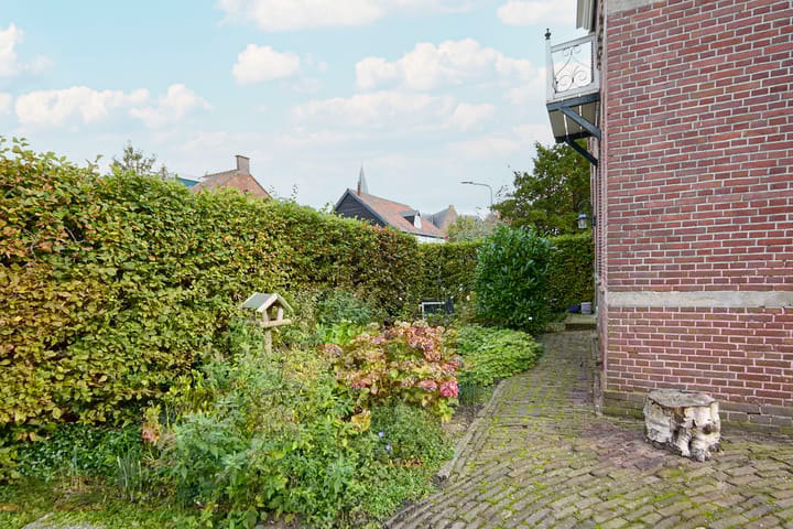 Photo 74 of Beets 57