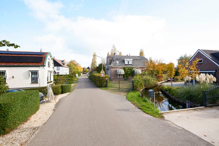 Photo 77 of Beets 57