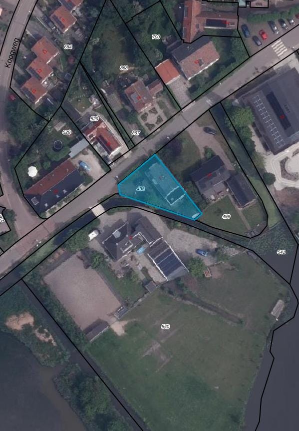 Photo 82 of Beets 57