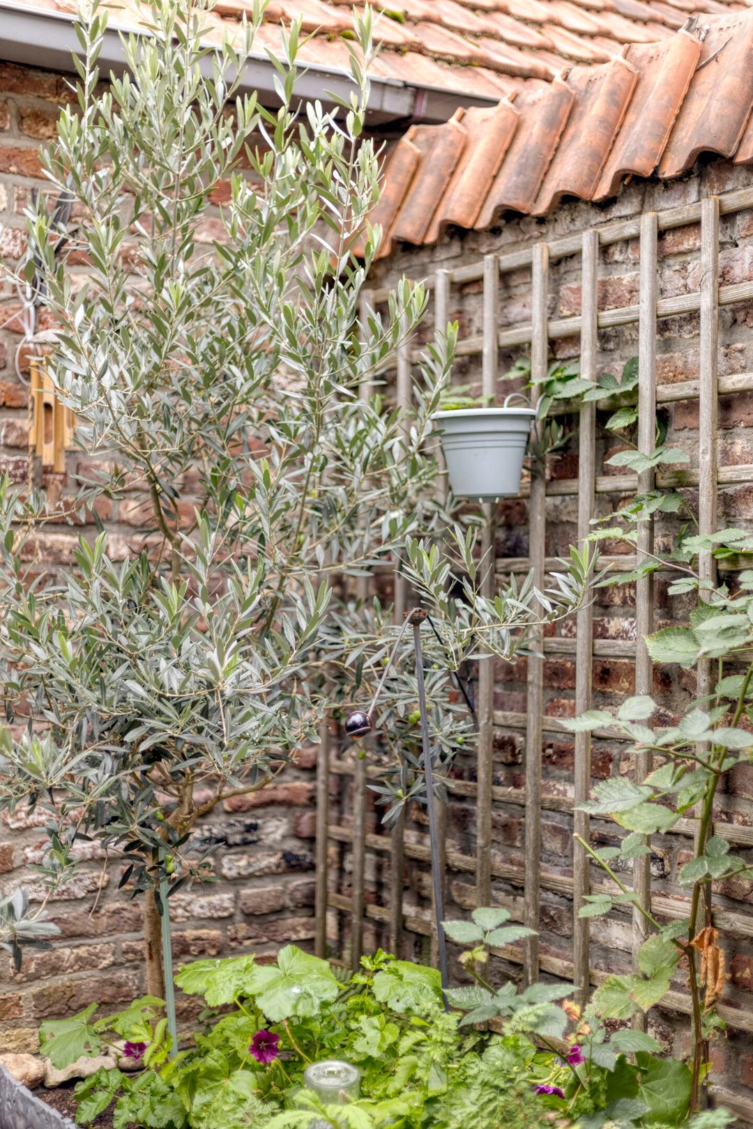 Photo 31 of Sportstraat 22