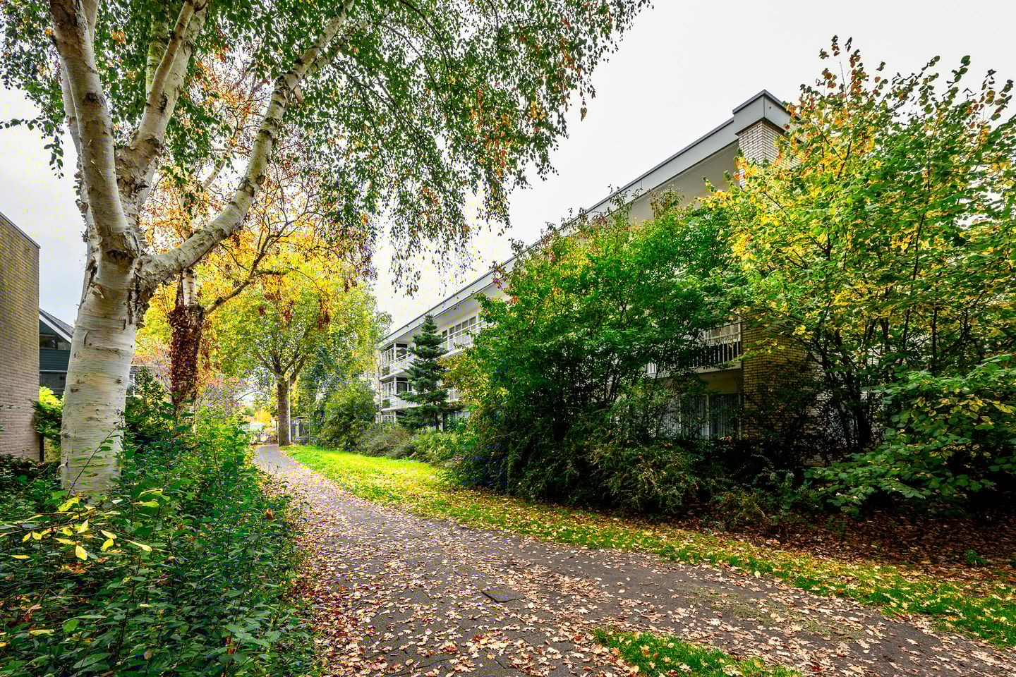 Foto 20 van Valkenkamp 81