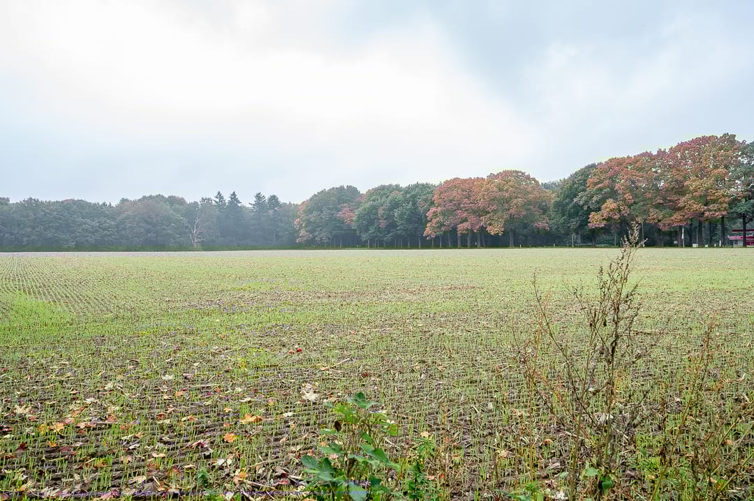 Foto 2 van Waardeel 24