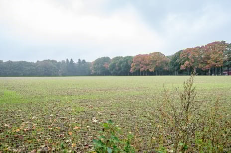 Waardeel 24 secondary image