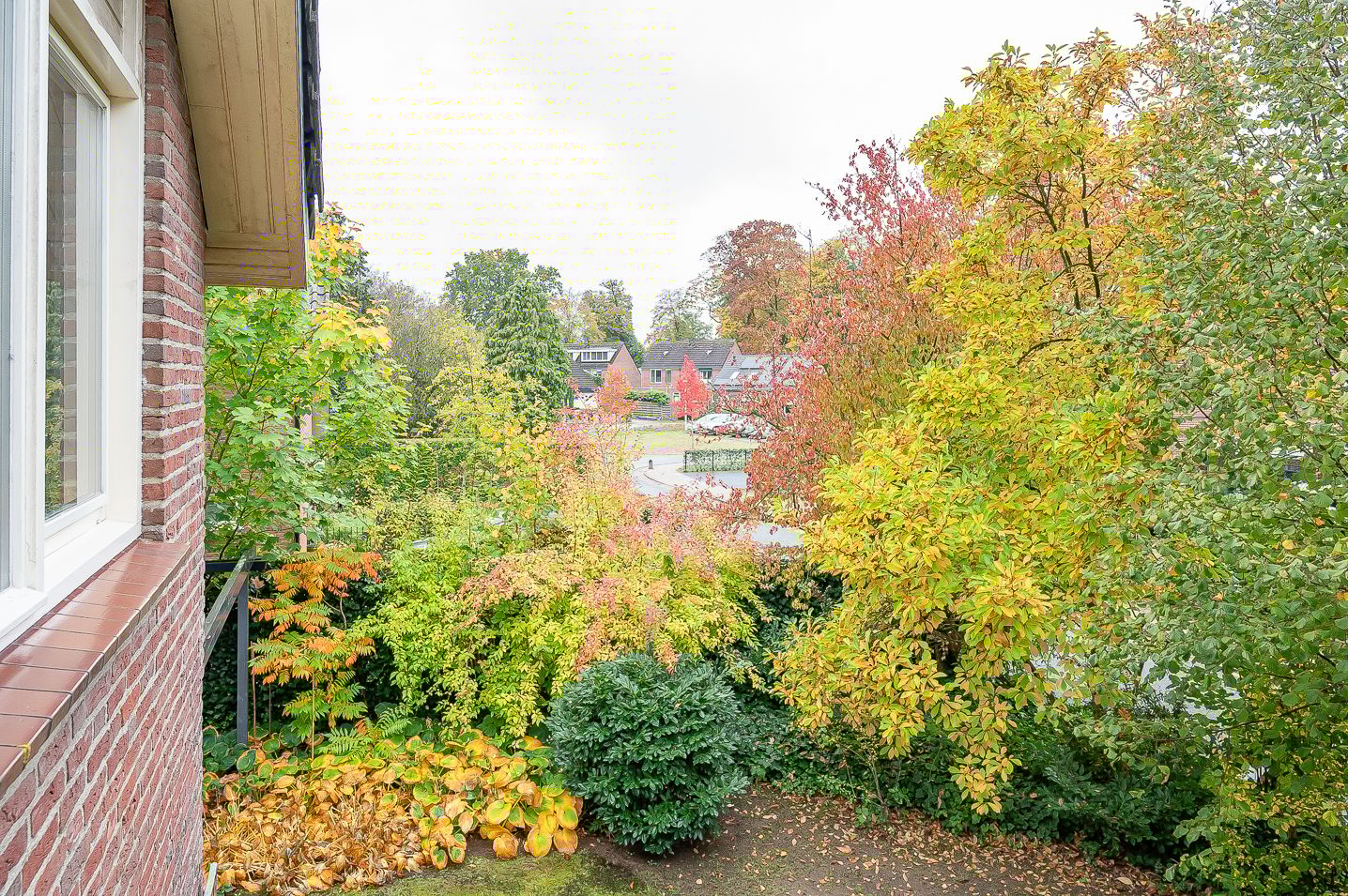 Foto 45 van Waardeel 24