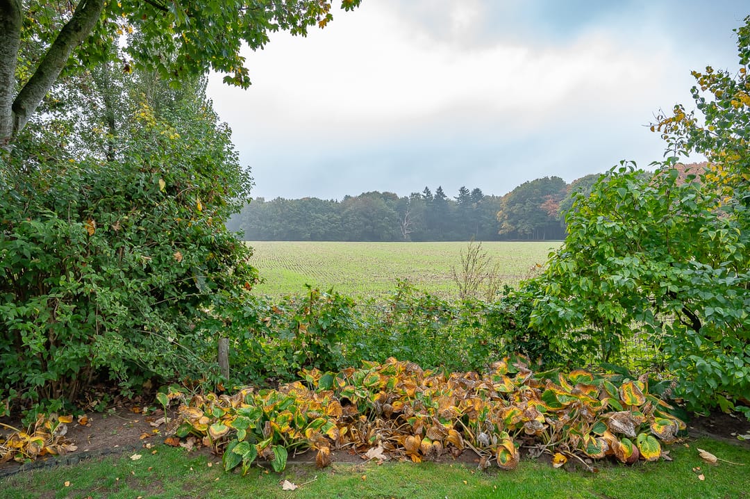 Foto 58 van Waardeel 24