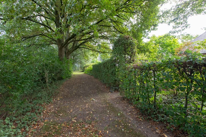 Photo 29 of Lugtenakkerstraat 5