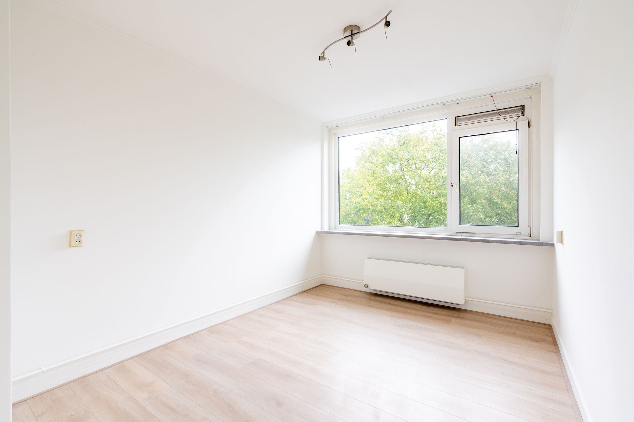 Foto 15 van Adelaarslaan 116