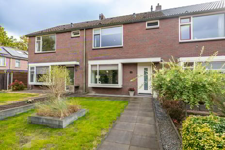 undefined main image